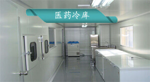 醫(yī)藥冷庫安裝設(shè)計方案